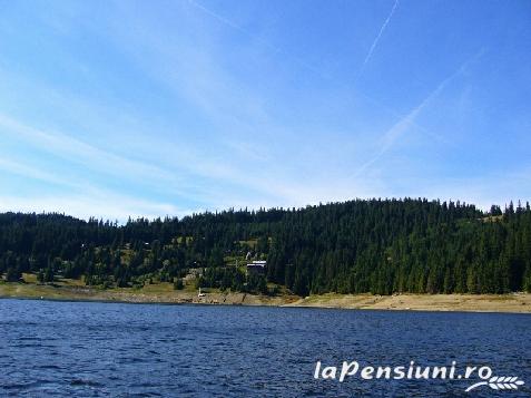 Pensiunea Orhideea - accommodation in  Apuseni Mountains, Valea Draganului (Surrounding)