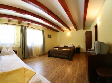 Vila Gal - accommodation in  Harghita Covasna, Lacu Rosu (15)