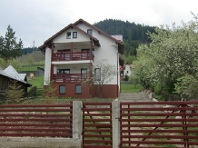 Vila Cetina - alloggio in  Bucovina (06)