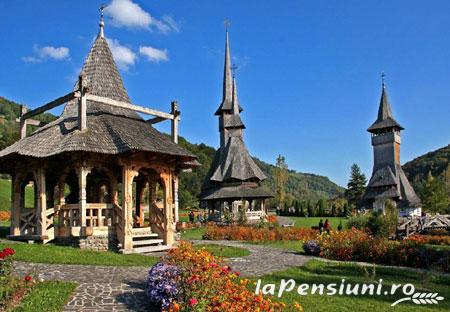 Pensiunea Man Nistor - accommodation in  Maramures Country (Surrounding)