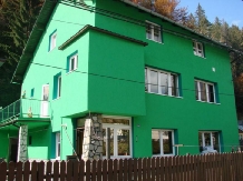 Vila Zangora - accommodation in  Prahova Valley (01)