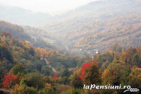 Pensiunea Tarina - accommodation in  Apuseni Mountains, Motilor Country (Surrounding)