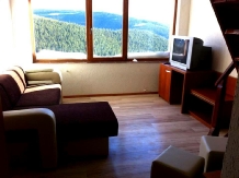 Pensiunea  Ambient Ranca - accommodation in  North Oltenia, Transalpina (06)