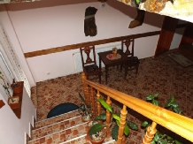 Pensiunea Valea Brazilor - accommodation in  Apuseni Mountains, Motilor Country, Arieseni (10)