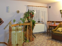 Pensiunea Valea Brazilor - accommodation in  Apuseni Mountains, Motilor Country, Arieseni (24)