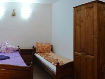 Pensiunea Valea Brazilor - accommodation in  Apuseni Mountains, Motilor Country, Arieseni (25)