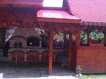 Pensiunea Valea Brazilor - accommodation in  Apuseni Mountains, Motilor Country, Arieseni (40)
