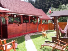 Pensiunea Valea Brazilor - accommodation in  Apuseni Mountains, Motilor Country, Arieseni (43)