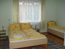Pensiunea Gyongyvirag La Lacri - accommodation in  Apuseni Mountains (13)
