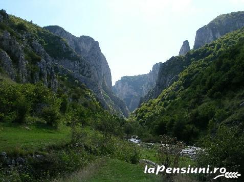 Pensiunea Gyongyvirag La Lacri - accommodation in  Apuseni Mountains (Surrounding)