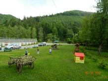 Valea Negrasului - accommodation in  Valea Doftanei (15)