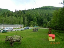 Valea Negrasului - alloggio in  Valea Doftanei (16)