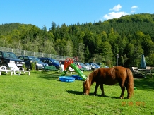 Valea Negrasului - accommodation in  Valea Doftanei (33)