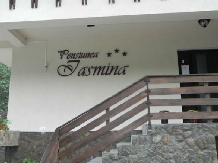 Pensiunea Iasmina - accommodation in  Olt Valley (09)