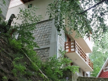 Pensiunea Madona - accommodation in  Moldova (38)