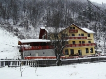 Pensiunea Georgiana - accommodation in  Apuseni Mountains (02)