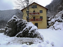 Pensiunea Georgiana - accommodation in  Apuseni Mountains (05)