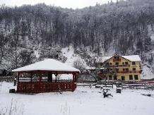 Pensiunea Georgiana - accommodation in  Apuseni Mountains (07)