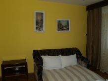 Casa cu flori - accommodation in  Hateg Country (05)