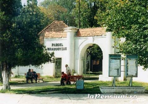 Casa de Vacanta Ellen - alloggio in  Valle di Prahova (Attivit&agrave; e i dintorni)