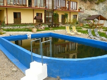 Cabana Delfinul - accommodation in  Danube Boilers and Gorge, Clisura Dunarii (02)