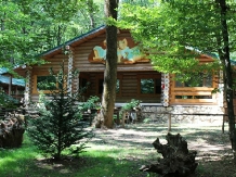 Complex Doi Haiduci - accommodation in  Republica Moldova (14)