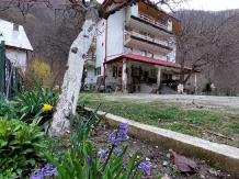 Pensiunea Lazar - alloggio in  Valea Oltului, Voineasa, Transalpina (08)