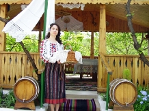 Casa Verde - alloggio in  Republica Moldova (03)