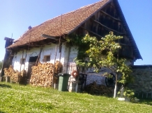 Casa Transilvania la Tara - cazare Fagaras (35)