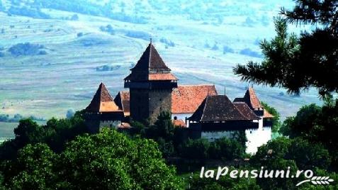 Casa Transilvania la Tara - alloggio in  Fagaras e vicinanze (Attivit&agrave; e i dintorni)
