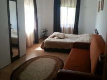 Casa de vacanta Macovei - accommodation in  North Oltenia (20)