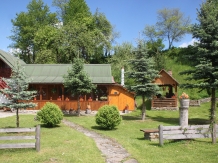 Pensiunea Turlas - accommodation in  Maramures Country (24)