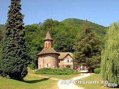 Pensiunea Floare de Colt - accommodation in  Transylvania (Surrounding)