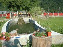 Pensiunea Felix - accommodation in  Brasov Depression, Buzau Valley (02)