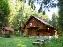 Cabana Dintre Brazi - accommodation in  Apuseni Mountains, Motilor Country, Arieseni (01)