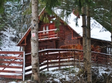 Cabana Dintre Brazi - accommodation in  Apuseni Mountains, Motilor Country, Arieseni (05)