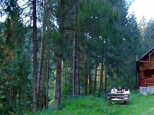 Cabana Dintre Brazi - accommodation in  Apuseni Mountains, Motilor Country, Arieseni (11)
