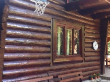 Cabana Dintre Brazi - accommodation in  Apuseni Mountains, Motilor Country, Arieseni (16)