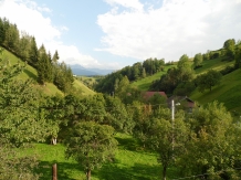 Valea Craiului - accommodation in  Rucar - Bran, Moeciu (19)