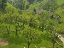 Valea Craiului - accommodation in  Rucar - Bran, Moeciu (20)