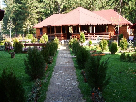 Pensiunea Petrisor - accommodation in  Brasov Depression (Surrounding)