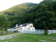 Pensiunea Forest - alloggio in  Rucar - Bran, Moeciu (15)