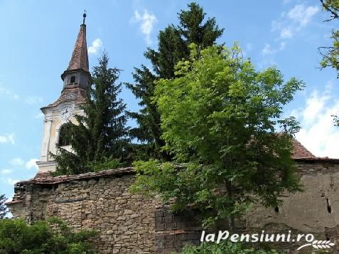 Convivium Transilvania - alloggio in  Sighisoara (Attivit&agrave; e i dintorni)