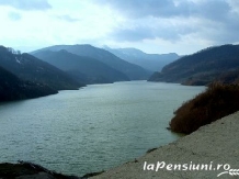 Pensiunea Poiana Caprioarei - cazare Valea Buzaului (19)