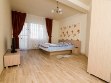 Casa Daniel - accommodation in  Baile Felix (28)