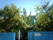 Casa de vacanta ANA - accommodation in  Danube Delta (02)