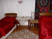 Casa de vacanta ANA - accommodation in  Danube Delta (11)