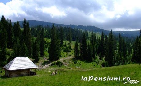 Pensiunea Ioasaf - accommodation in  Maramures Country (Surrounding)