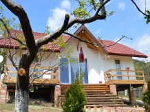 Pensiunea EVA - accommodation in  North Oltenia (07)
