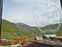 Pensiunea EVA - accommodation in  North Oltenia (51)